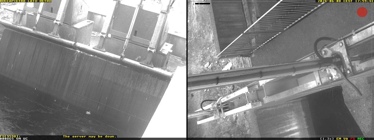 Camera Live Image