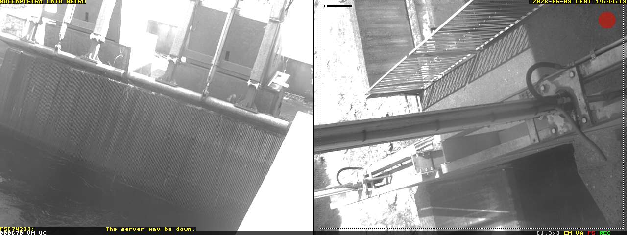 Camera Live Image