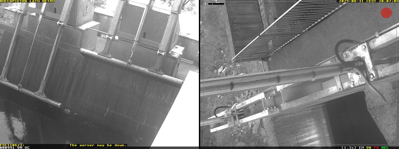 Camera Live Image