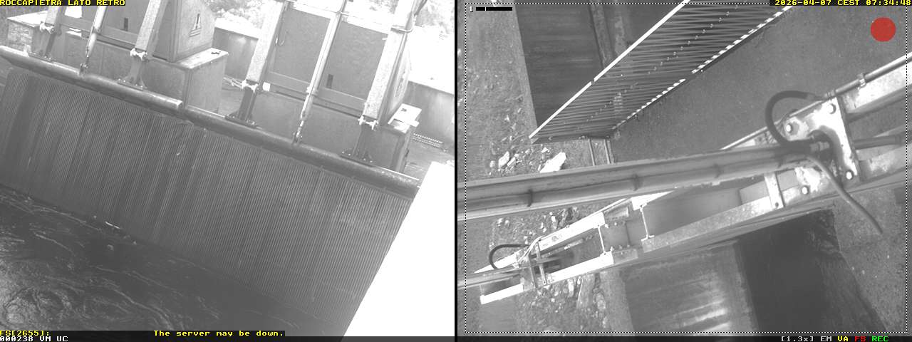Camera Live Image