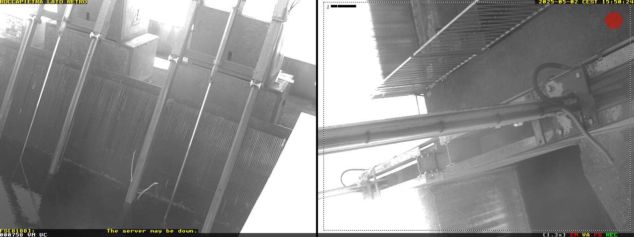 Camera Live Image