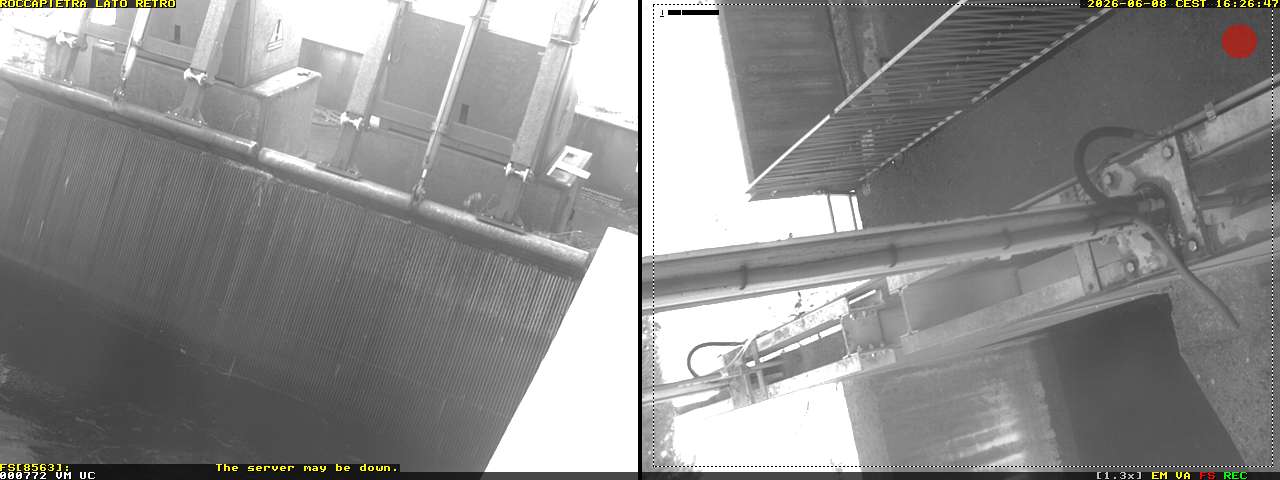 Camera Live Image