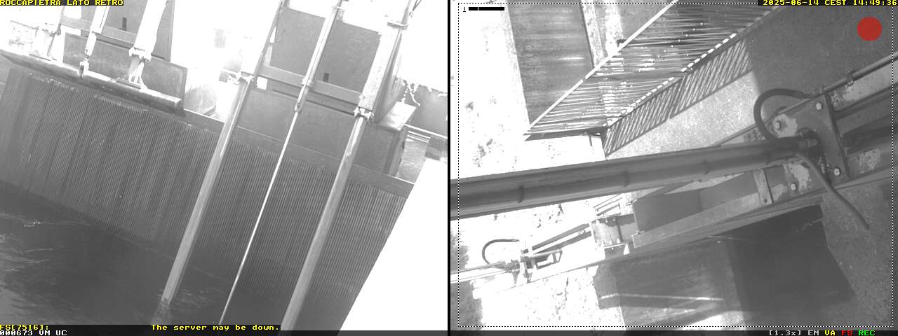 Camera Live Image