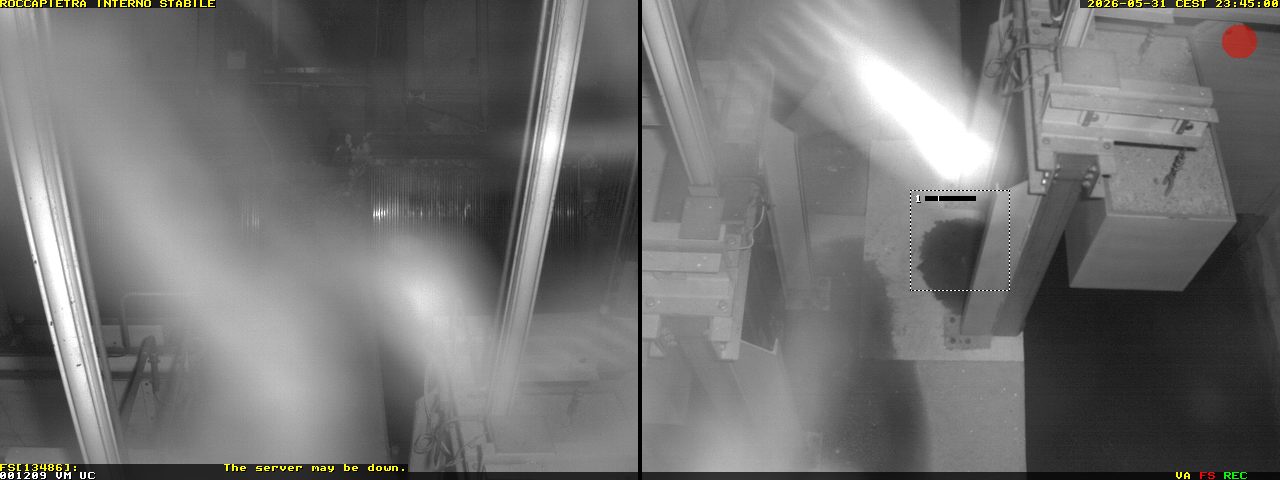Camera localcam:Event Image #-2