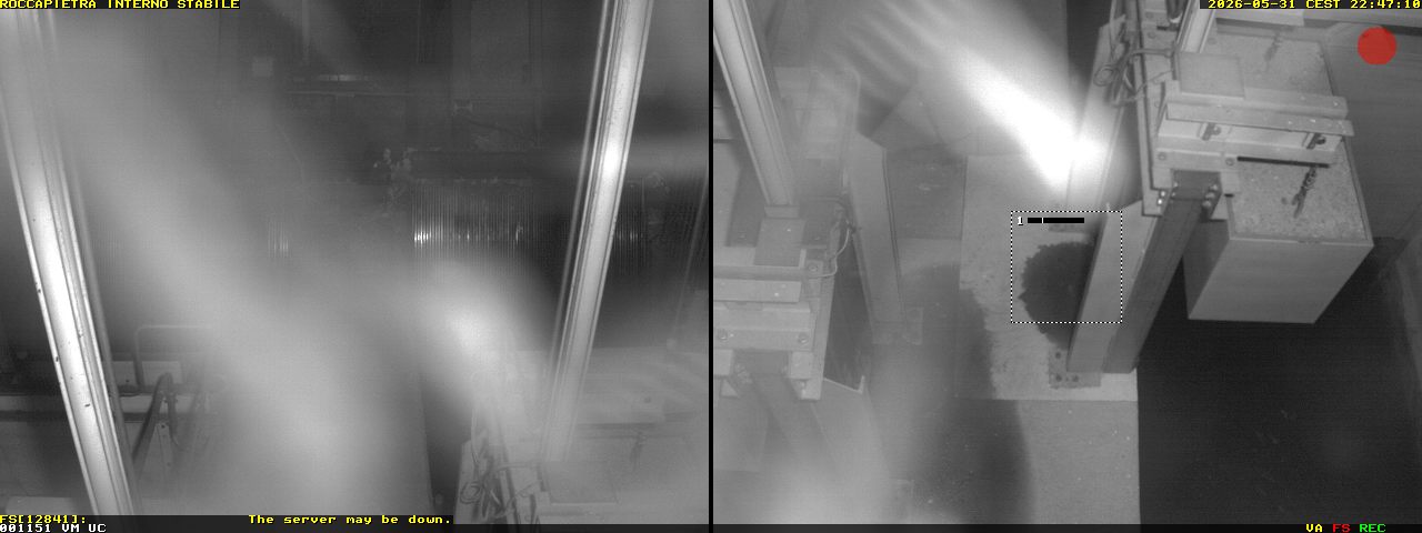 Camera Live Image