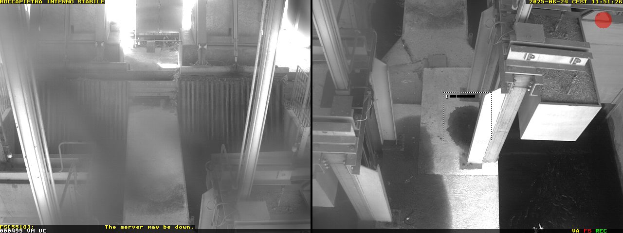 Camera Live Image