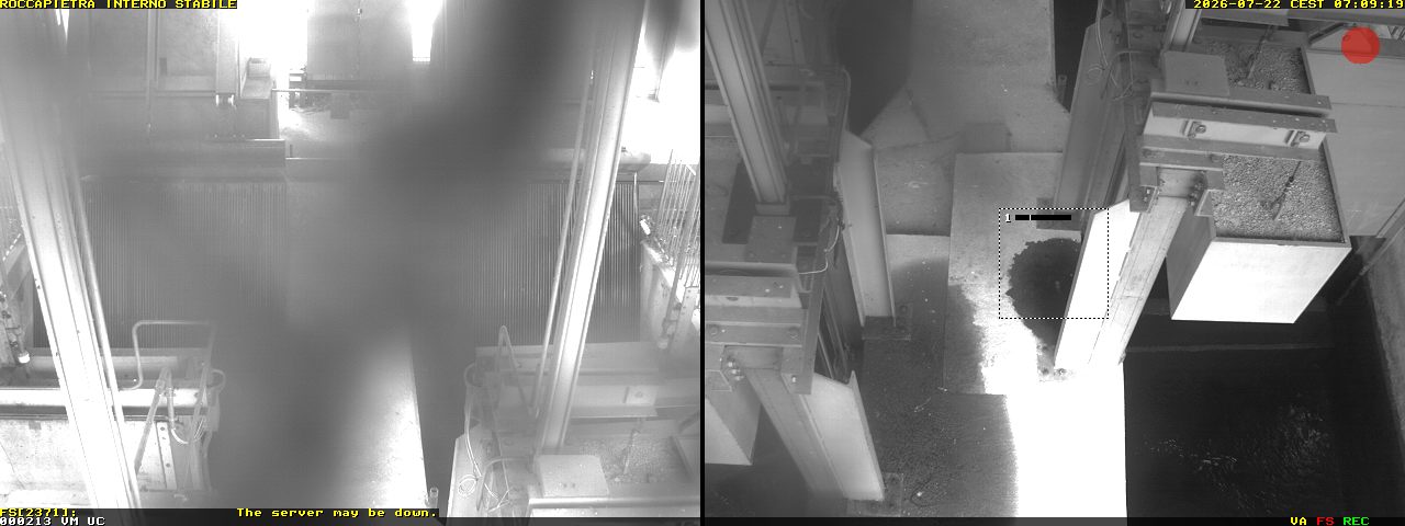 Camera Live Image