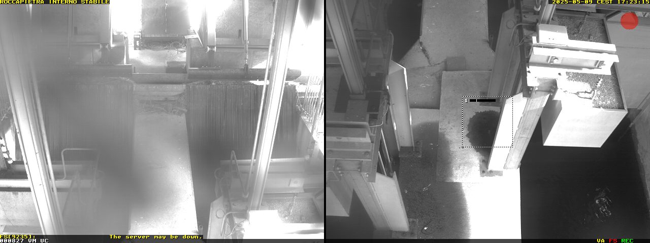Camera Live Image