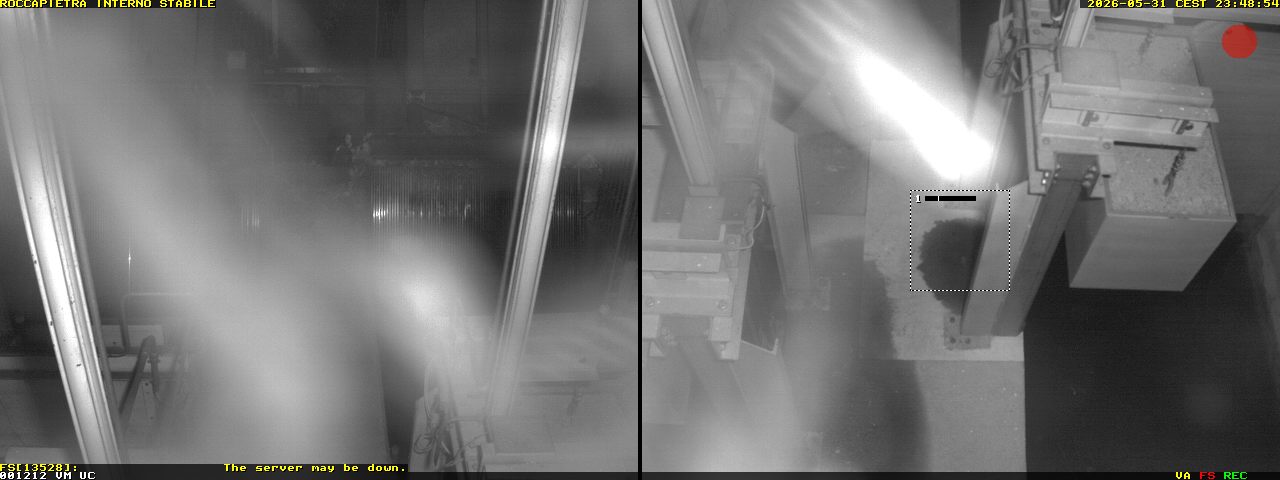 Camera Live Image