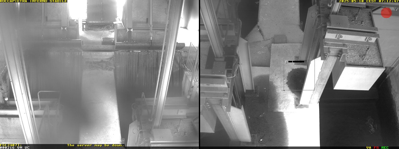 Camera Live Image