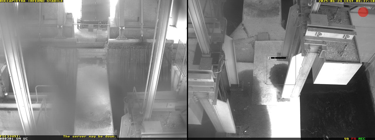 Camera Live Image