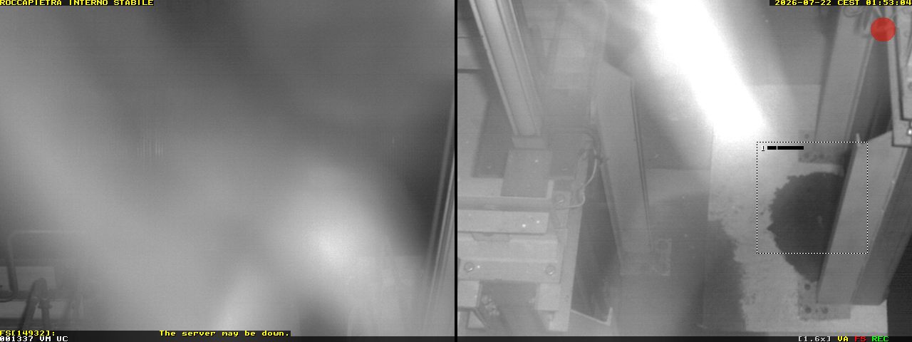 Camera Live Image