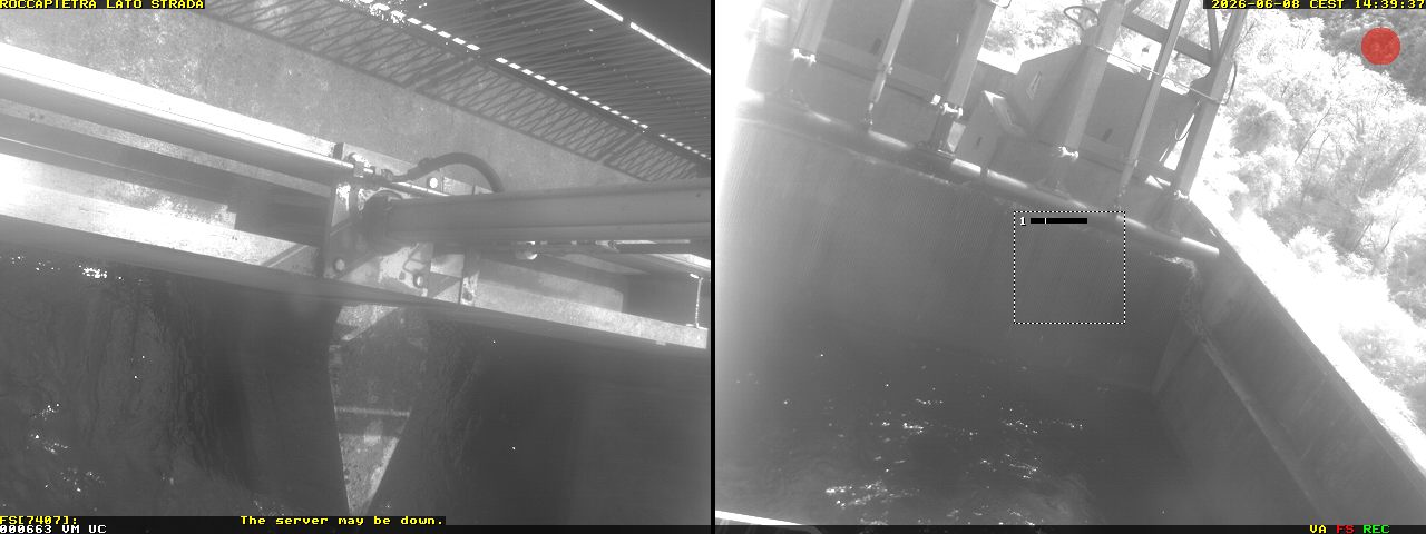 Camera Live Image