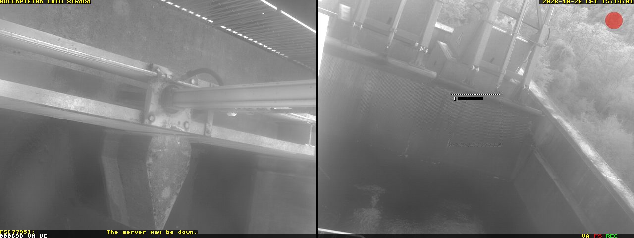 Camera Live Image