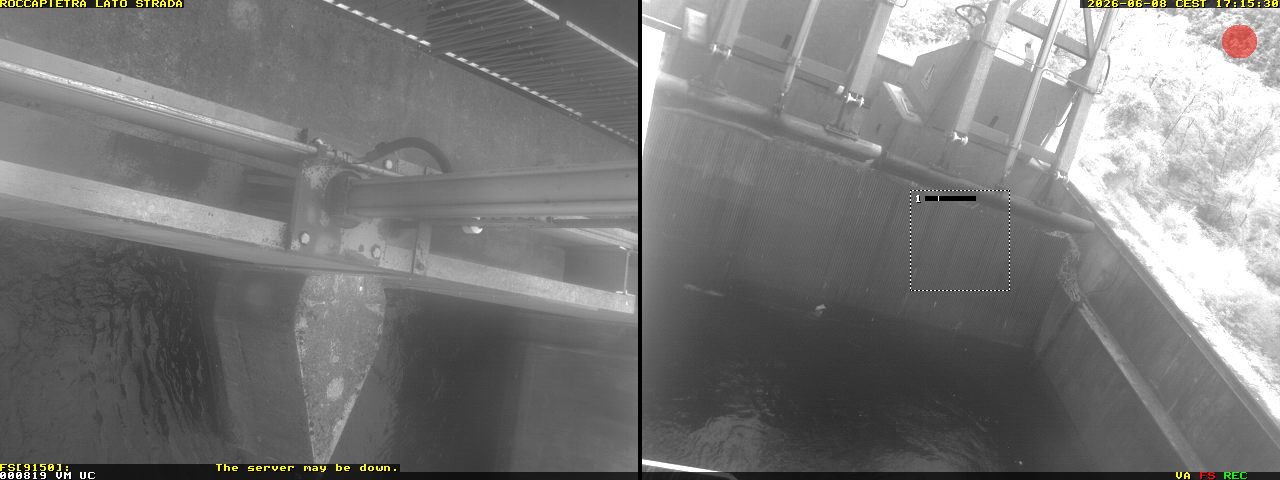 Camera Live Image