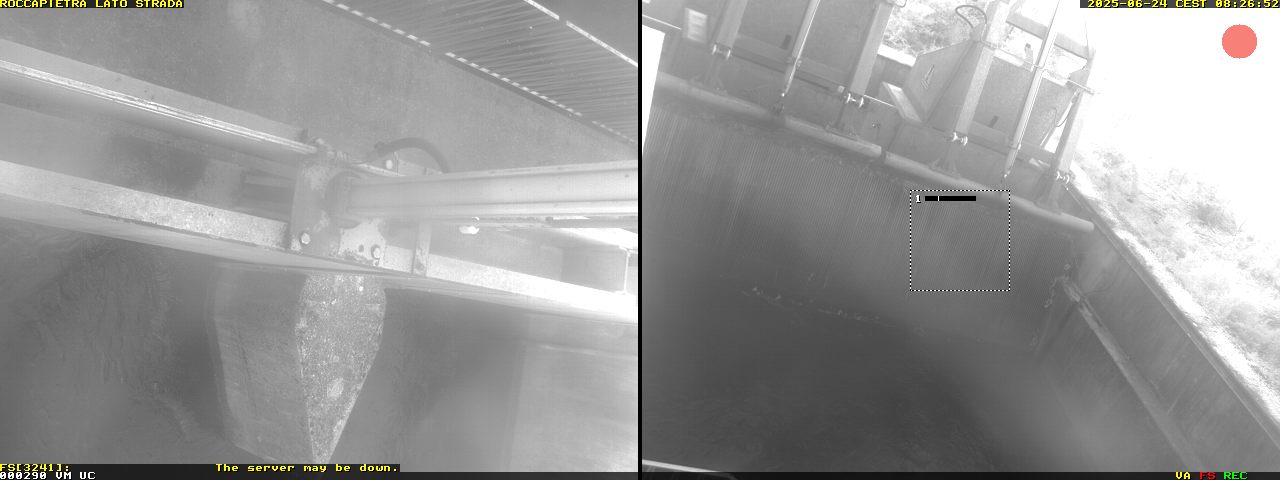 Camera Live Image