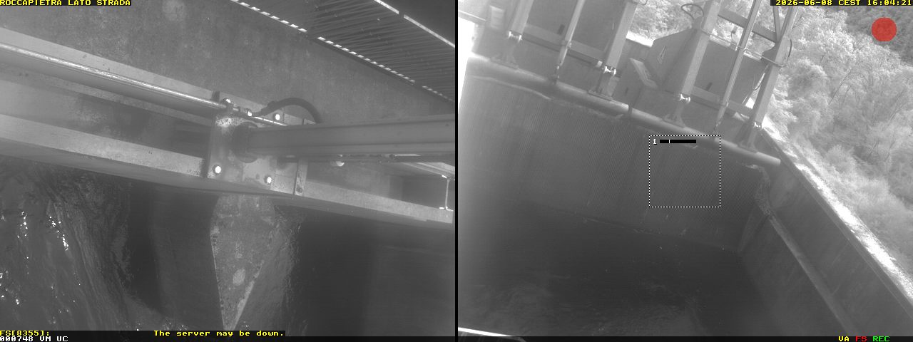 Camera Live Image